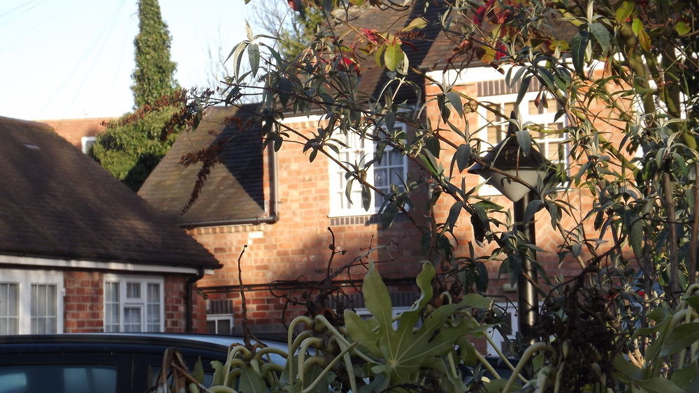 The Peacock Townhouse Hotel Kenilworth - Warwick Exterior photo